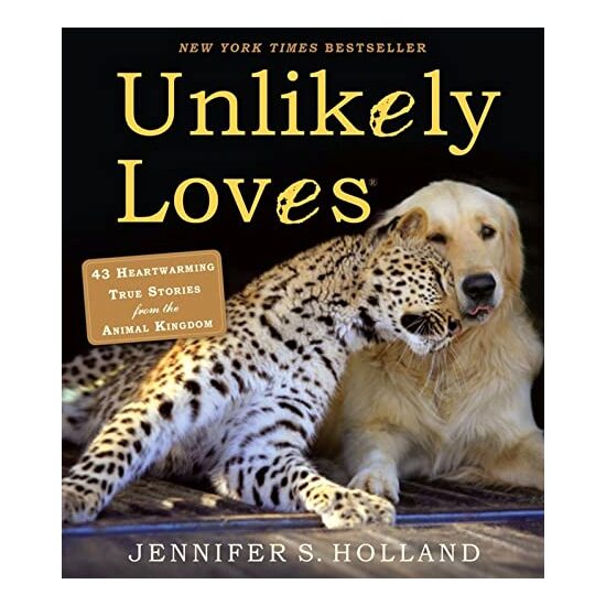 Unlikely loves - Imagine 1