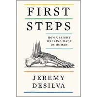 First Steps, Jeremy DeSilva