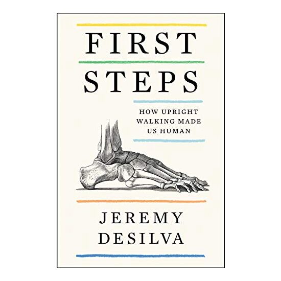 First Steps, Jeremy DeSilva - Imagine 1