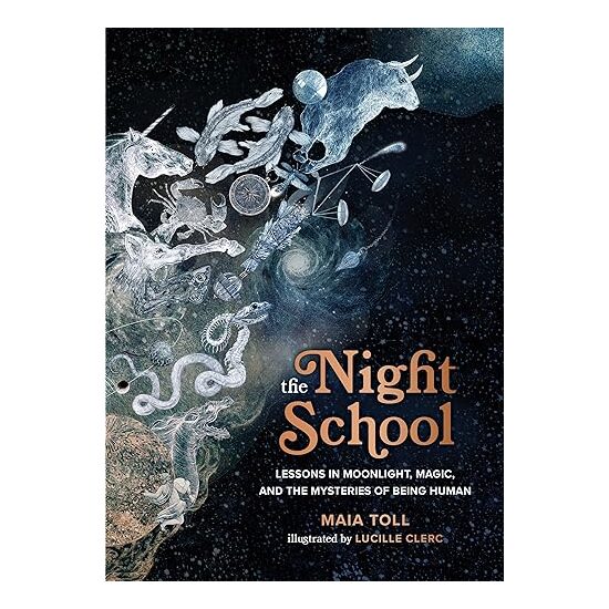 Night School, Maia Toll, Lucille Clerc