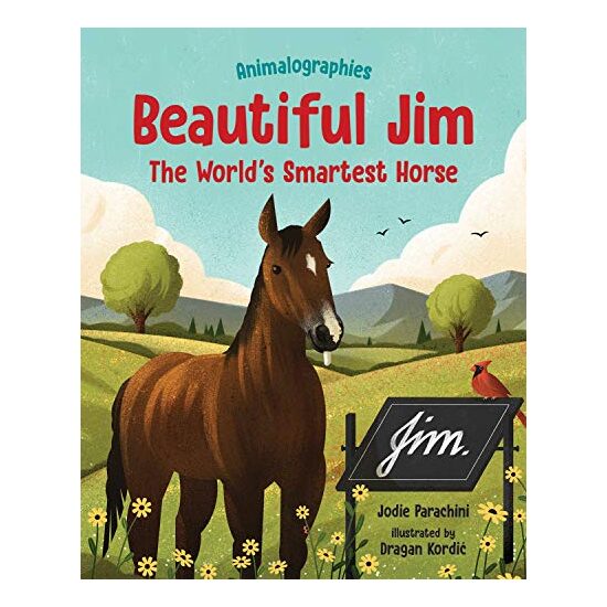 Beautiful Jim - Imagine 1