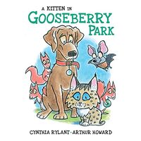 Kitten in Gooseberry Park