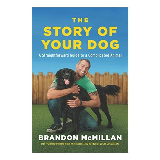 Story of Your Dog