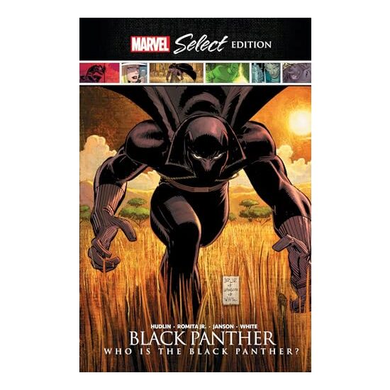Black Panther - Imagine 1
