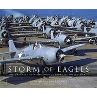 Storm of Eagles