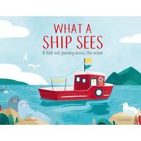 What a Ship Sees