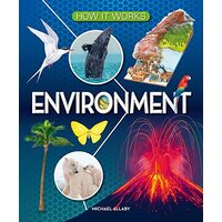 How It Works Environment