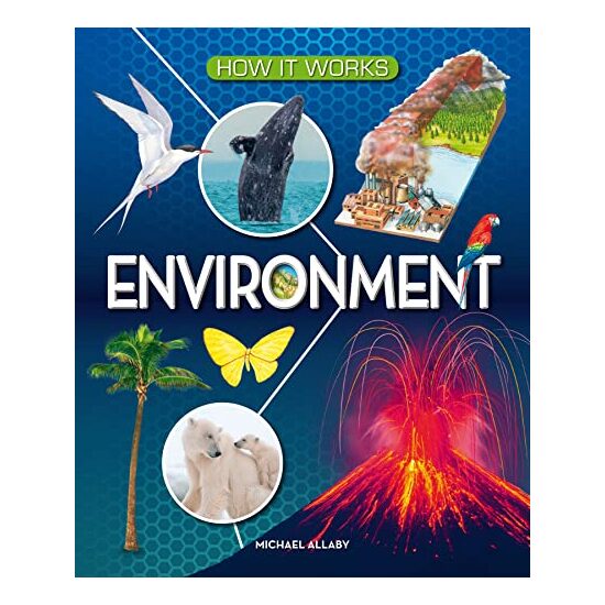 How It Works Environment - Imagine 1
