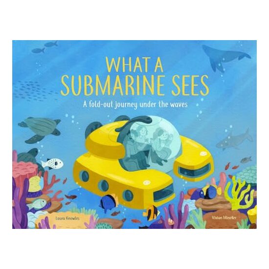 What a Submarine Sees