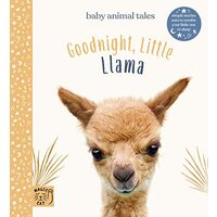 Goodnight Little Llama, Amanda Wood