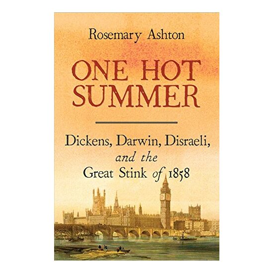 One hot summer, Rosemary Ashton