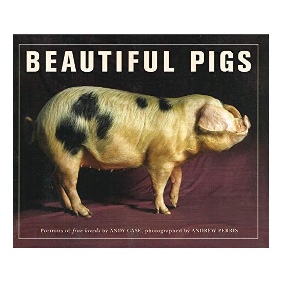 Beautiful Pigs