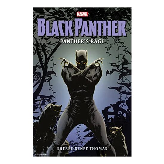 Black Panther - Imagine 1