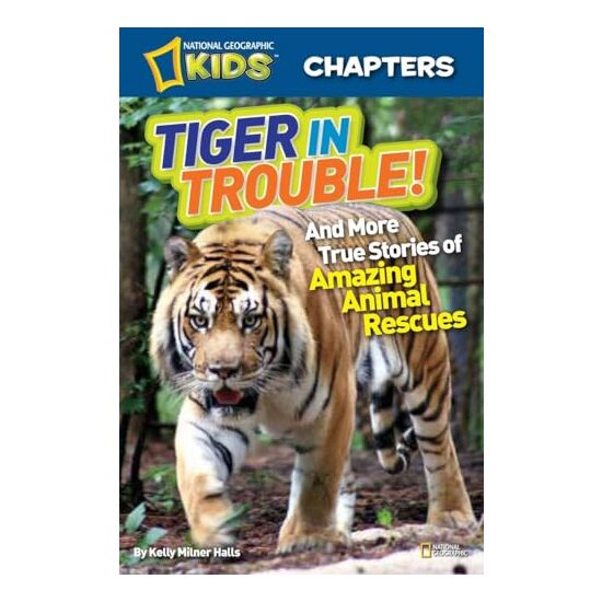 Tiger in Trouble! - Imagine 1