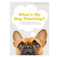 What's My Dog Thinking?