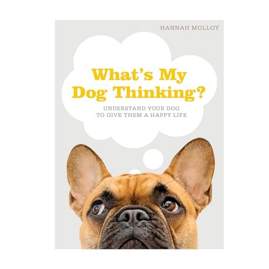 What's My Dog Thinking? - Imagine 1