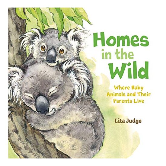 Homes in the Wild - Imagine 1