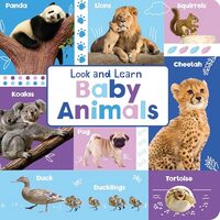 Look and Learn Baby Animals