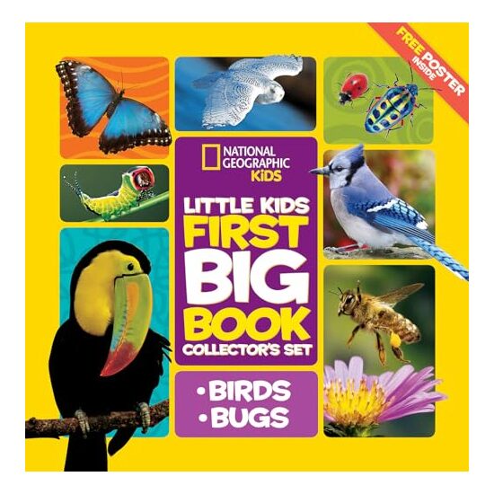 Little Kids First Big Book Collector's Set
