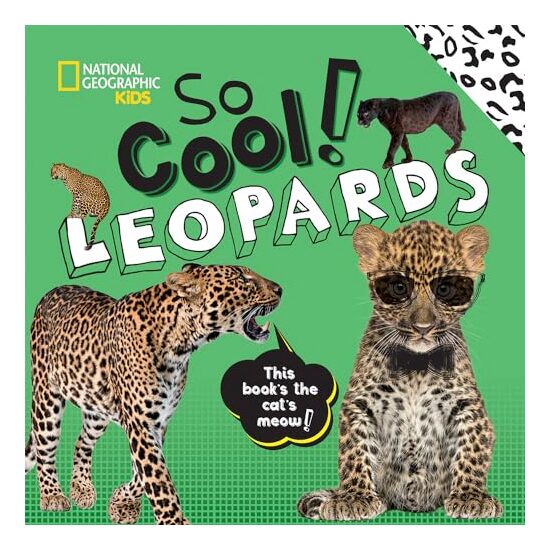So Cool! Leopards - Imagine 1