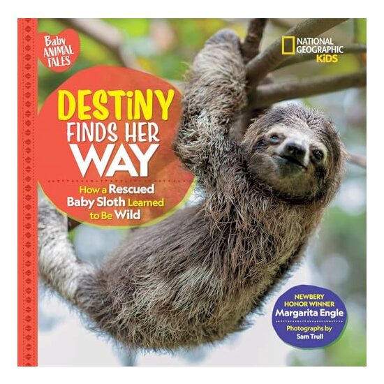 Destiny Finds Her Way - Imagine 1