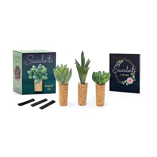 Succulents Magnet Set, Jessie Oleson Moore - Imagine 1