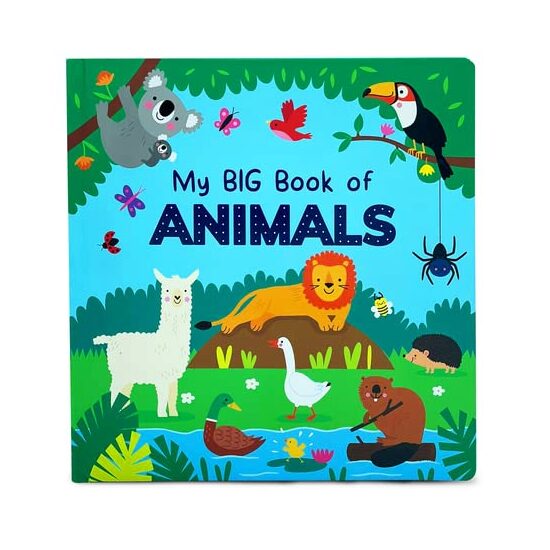 Look and Learn First Words - Imagine 1