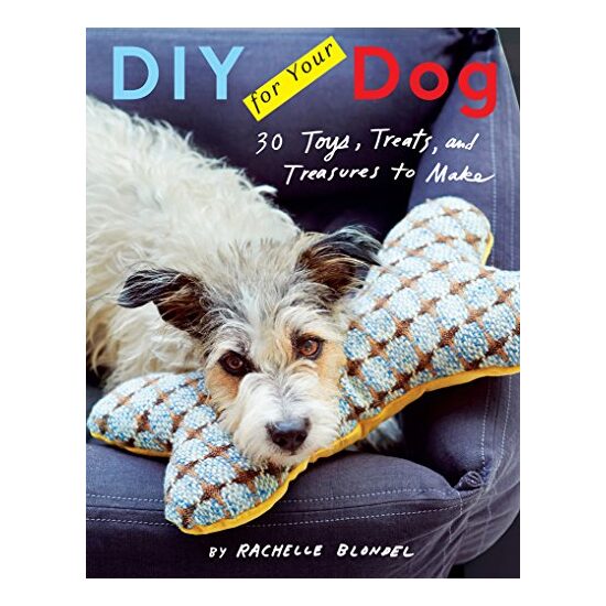 DIY for your dog
