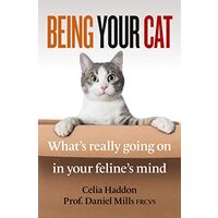 Being Your Cat Inside Your Feline's Mind