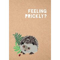 Feeling Prickly Journal, Matt Garczynski