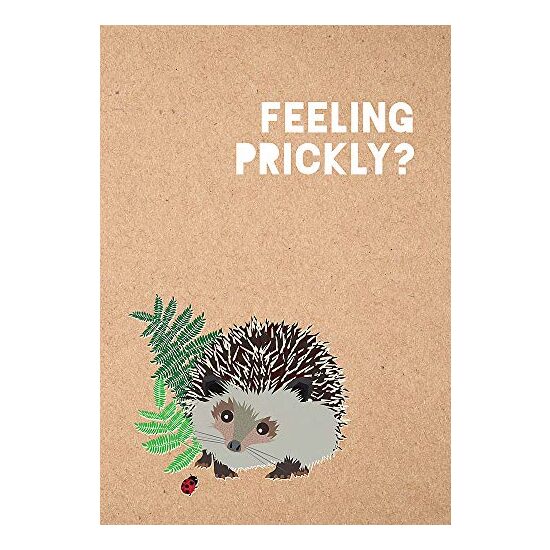 Feeling Prickly Journal, Matt Garczynski