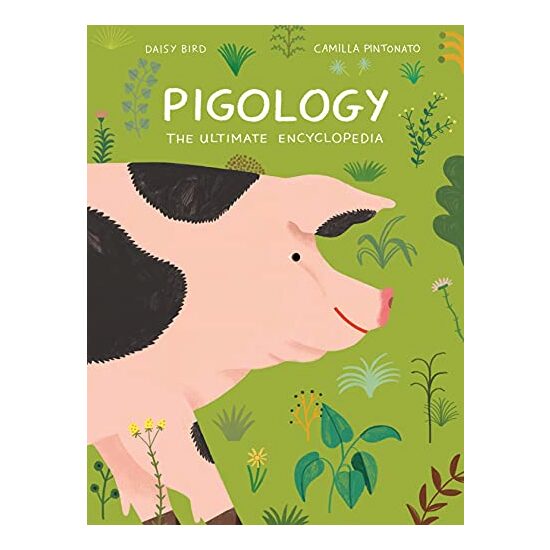 Pigology