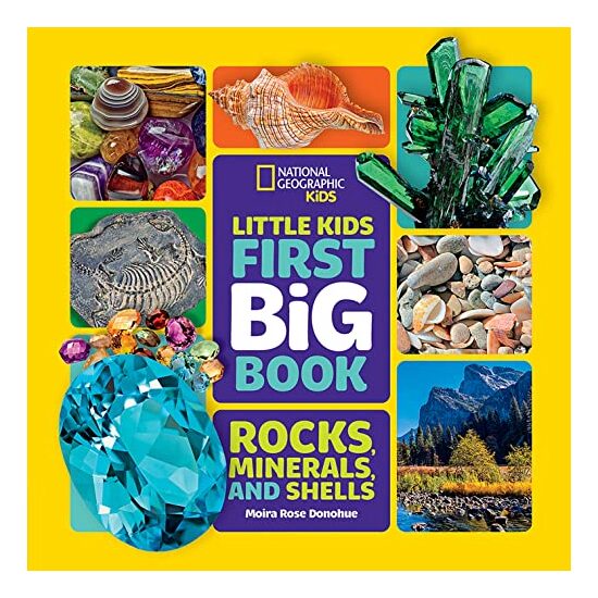 Little Kids First Big Book of Rocks, Minerals and Shells, Moira Rose Donohue