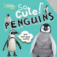 So Cute! Penguins