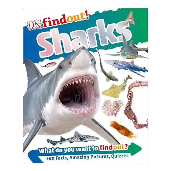 DKfindout! Sharks - Imagine 1