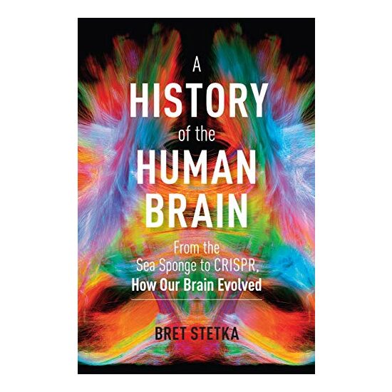 History of the Human Brain, Bret Stetka