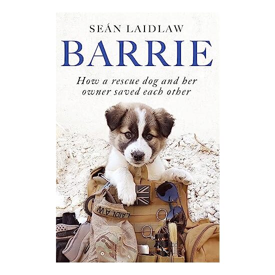Barrie, Sean Laidlaw - Imagine 1