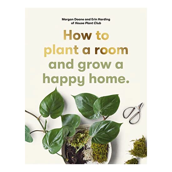 How to Plant a Room, Morgan Doane, Erin Harding