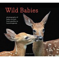 Wild Babies, Traer Scott