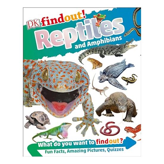 Reptiles and amphibians - Imagine 1