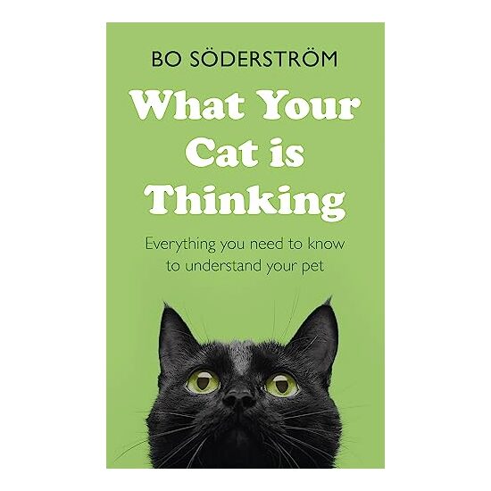 What Your Cat Is Thinking - Imagine 1