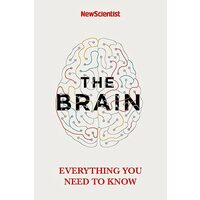 Brain