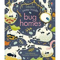 Peep Inside Bug Homes