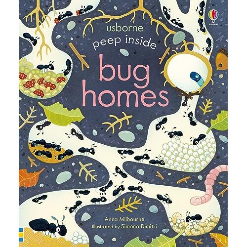 Peep Inside Bug Homes