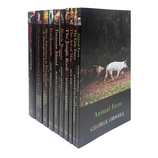 Literature Classics - 10 Books Collection Set - Imagine 1