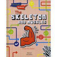 Flowchart Science: The Skeleton & Muscles