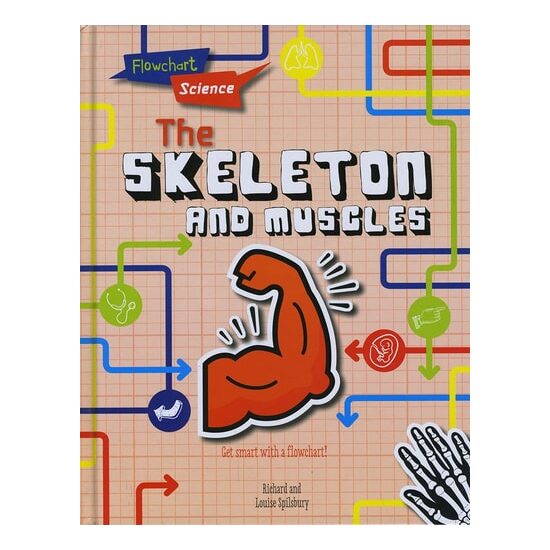 Flowchart Science: The Skeleton & Muscles - Imagine 1