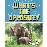 What's The Opposite?: A Turn-And-See Book (What's Next?)
