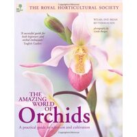 Amazing World Of Orchids