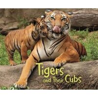 Animal Offspring: Tigers & Their Cubs